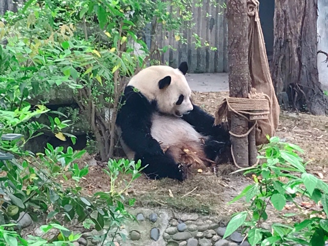 f:id:moonbow5:20190414161441j:plain f:id:moonbow5:20190414161441j:plain