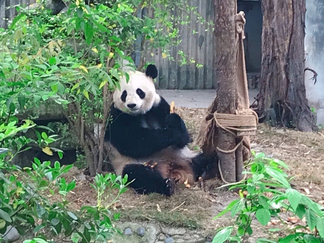 f:id:moonbow5:20190414161456j:plain f:id:moonbow5:20190414161456j:plain