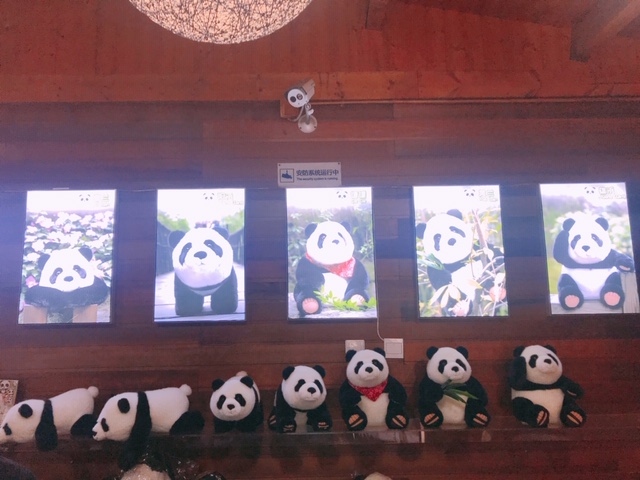 f:id:moonbow5:20190414161548j:plain f:id:moonbow5:20190414161548j:plain
