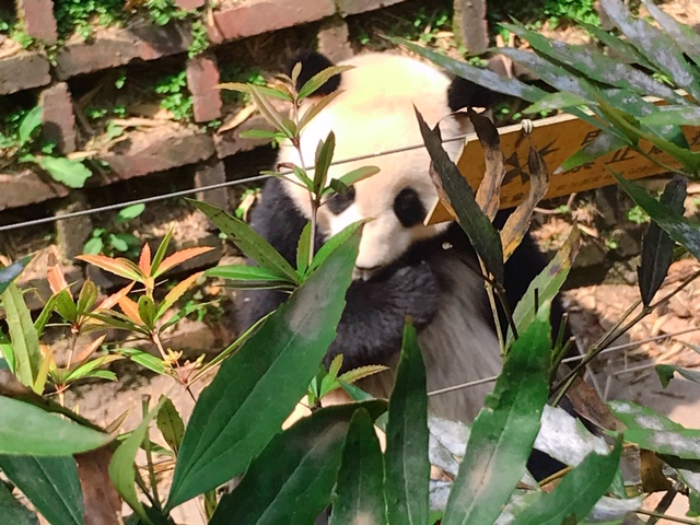 f:id:moonbow5:20190415000604j:plain f:id:moonbow5:20190415000604j:plain