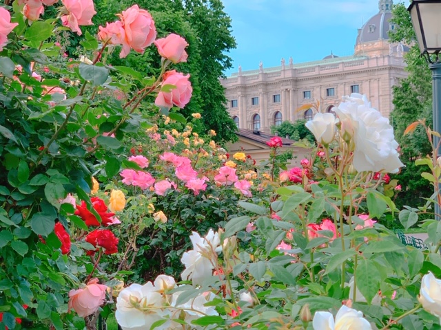 f:id:moonbow5:20190610150456j:plain