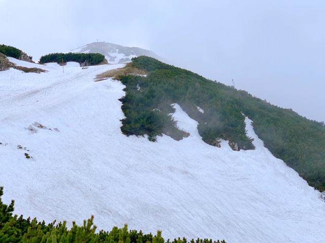 f:id:moonbow5:20190618153014j:plain f:id:moonbow5:20190618153014j:plain