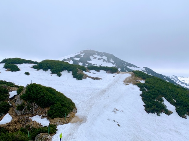 f:id:moonbow5:20190618153142j:plain f:id:moonbow5:20190618153142j:plain