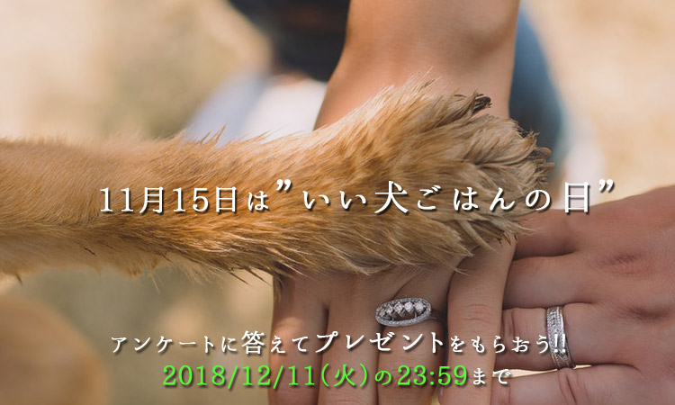 f:id:moonda:20181115152651j:plain