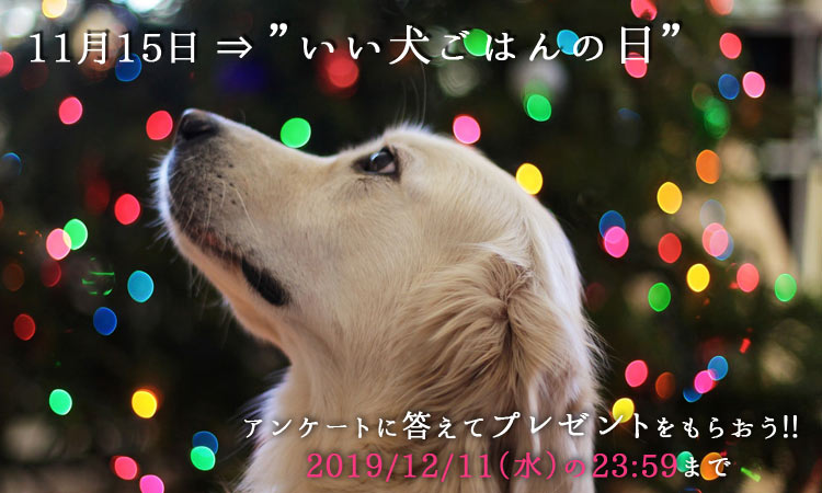 f:id:moonda:20191114201327j:plain