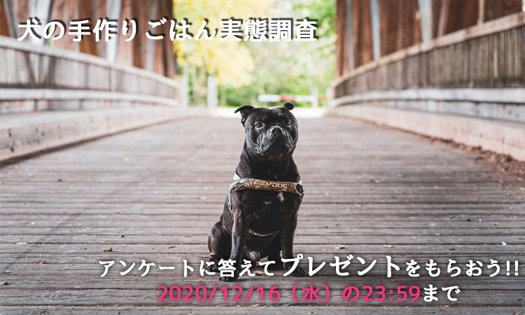 f:id:moonda:20201209151728j:plain