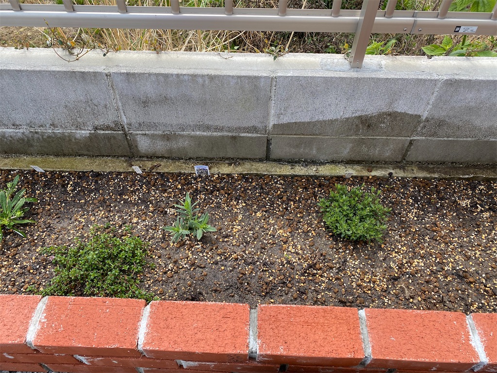花壇その後 Matsufumiのブログ