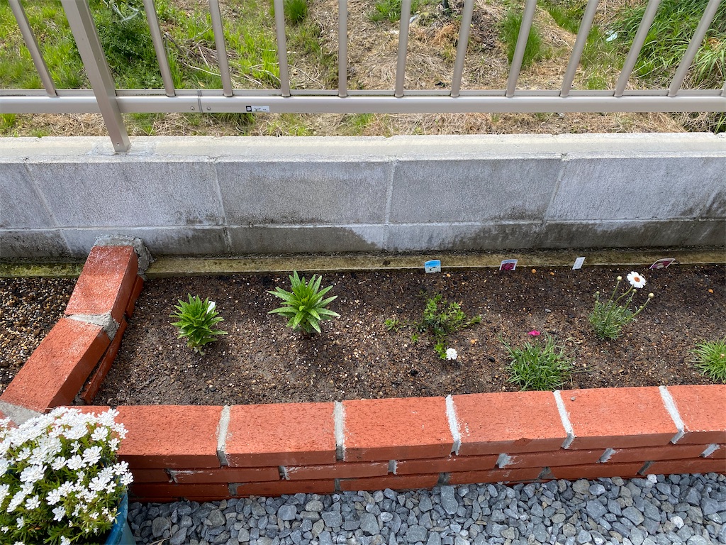 花壇その後 Matsufumiのブログ
