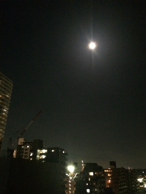 f:id:mooniland:20150506120414j:plain f:id:mooniland:20150506120414j:plain