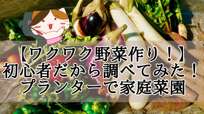 f:id:moonleoleo:20200918174629p:plain f:id:moonleoleo:20200918174629p:plain