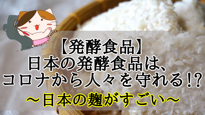 f:id:moonleoleo:20201129124957p:plain
