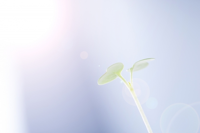 f:id:moonleoleo:20201130124831j:plain