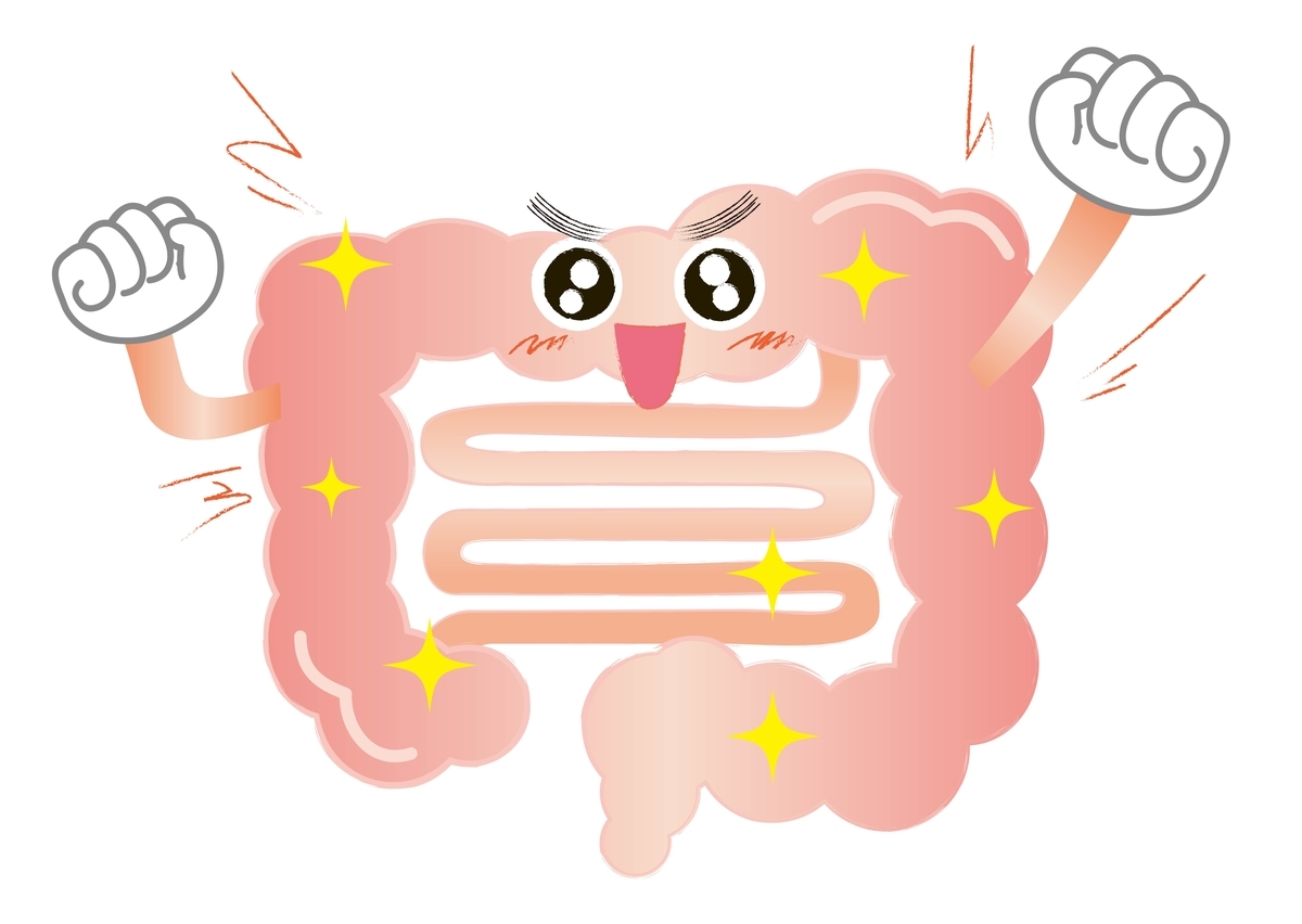 f:id:moonleoleo:20201130125458j:plain