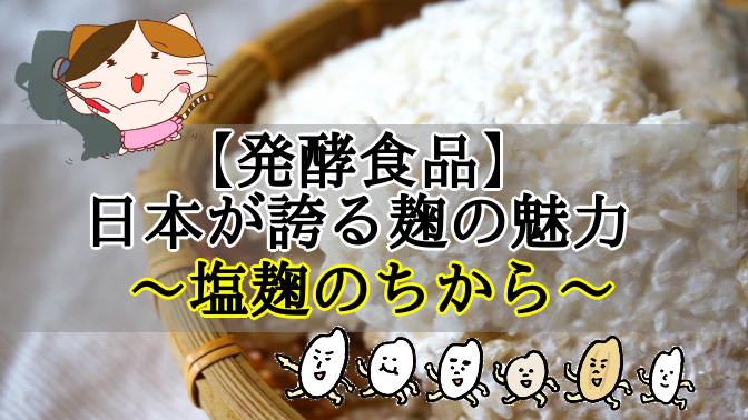f:id:moonleoleo:20201213135231p:plain