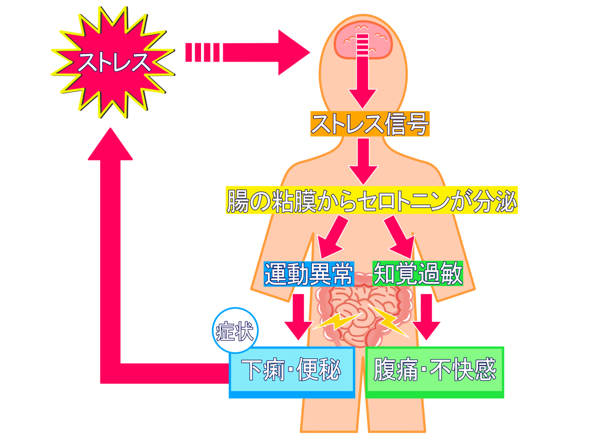 f:id:moonleoleo:20210118202434j:plain