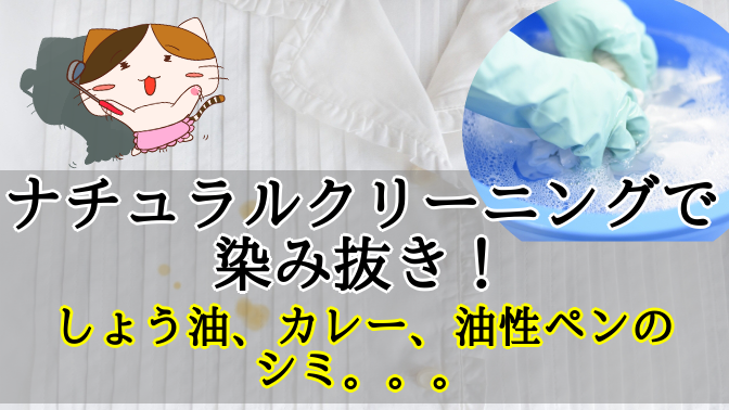 f:id:moonleoleo:20210122204511p:plain