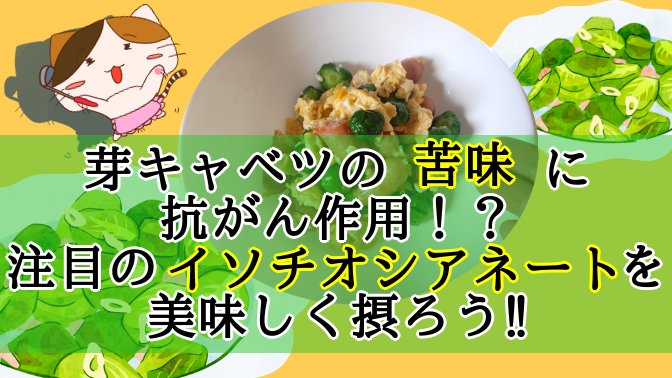 f:id:moonleoleo:20210207111615p:plain