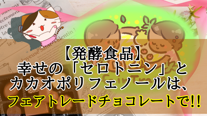 f:id:moonleoleo:20210211131504p:plain