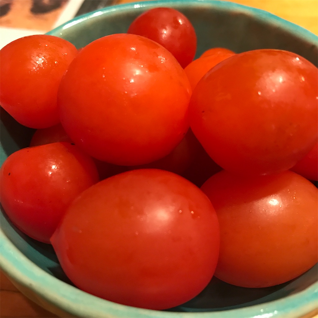 f:id:moonlight_garden:20190125091939j:image f:id:moonlight_garden:20190125091939j:image