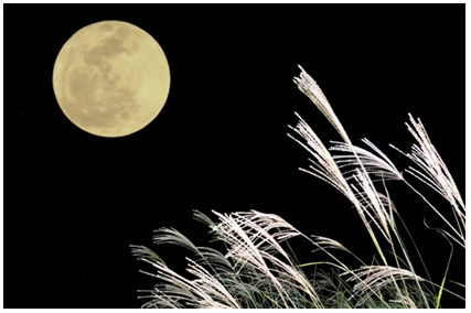 f:id:moonlightsurf:20190914173555p:plain