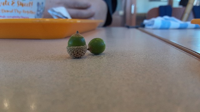 f:id:moonmond:20201002234137j:image f:id:moonmond:20201002234137j:image