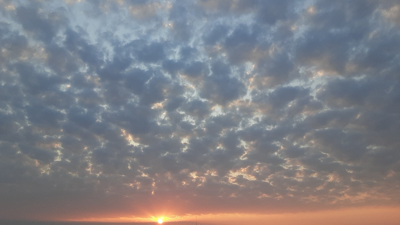 f:id:moonmond:20210222232657j:image f:id:moonmond:20210222232657j:image