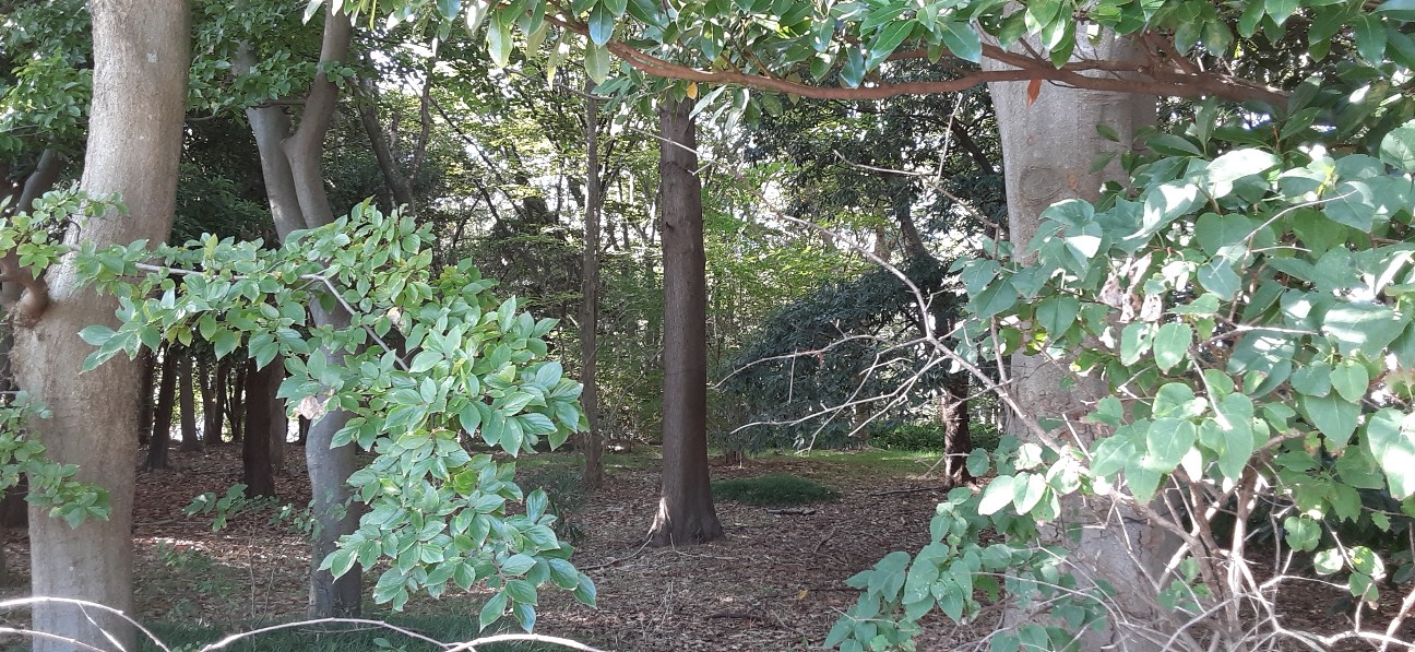 f:id:moonmond:20211007213056j:image f:id:moonmond:20211007213056j:image