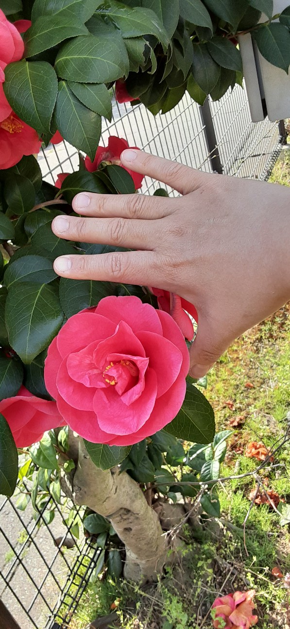 f:id:moonmond:20220410221128j:image f:id:moonmond:20220410221128j:image