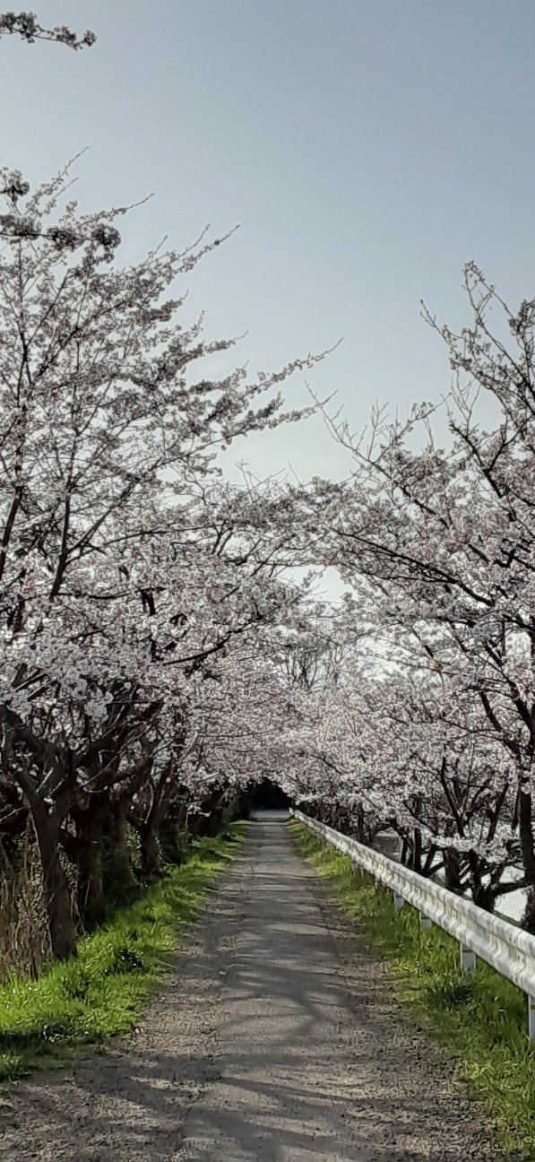 f:id:moonmond:20220410221341j:image f:id:moonmond:20220410221341j:image