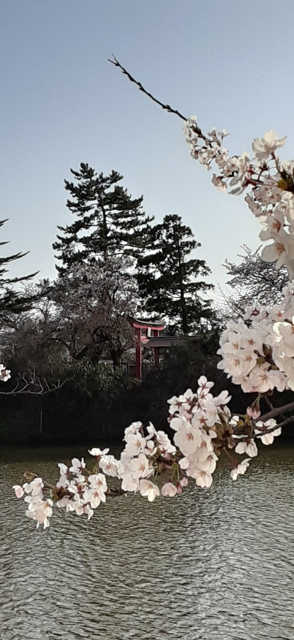 f:id:moonmond:20220410221418j:image f:id:moonmond:20220410221418j:image