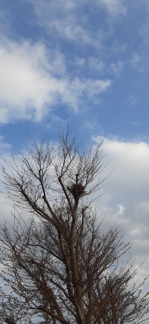 f:id:moonmond:20220417011509j:image f:id:moonmond:20220417011509j:image