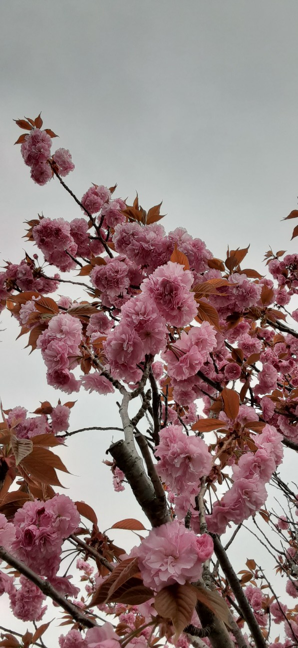 f:id:moonmond:20220424003056j:image f:id:moonmond:20220424003056j:image