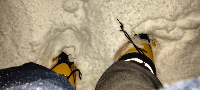 f:id:moonmond:20250212012528j:image f:id:moonmond:20250212012528j:image