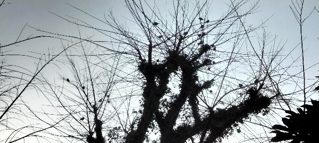 f:id:moonmond:20250217012923j:image f:id:moonmond:20250217012923j:image