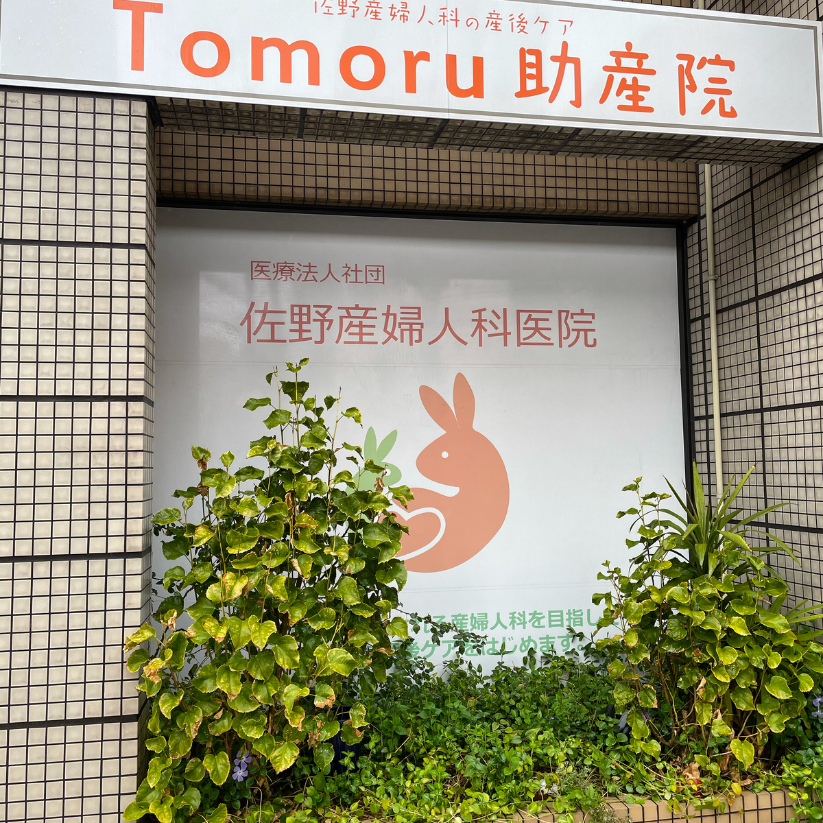 f:id:moonrhythm:20210313221839j:plain