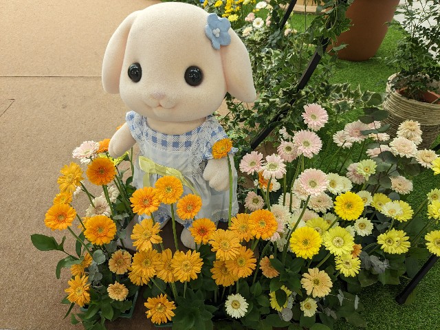 f:id:moonriver799:20240325212423j:image