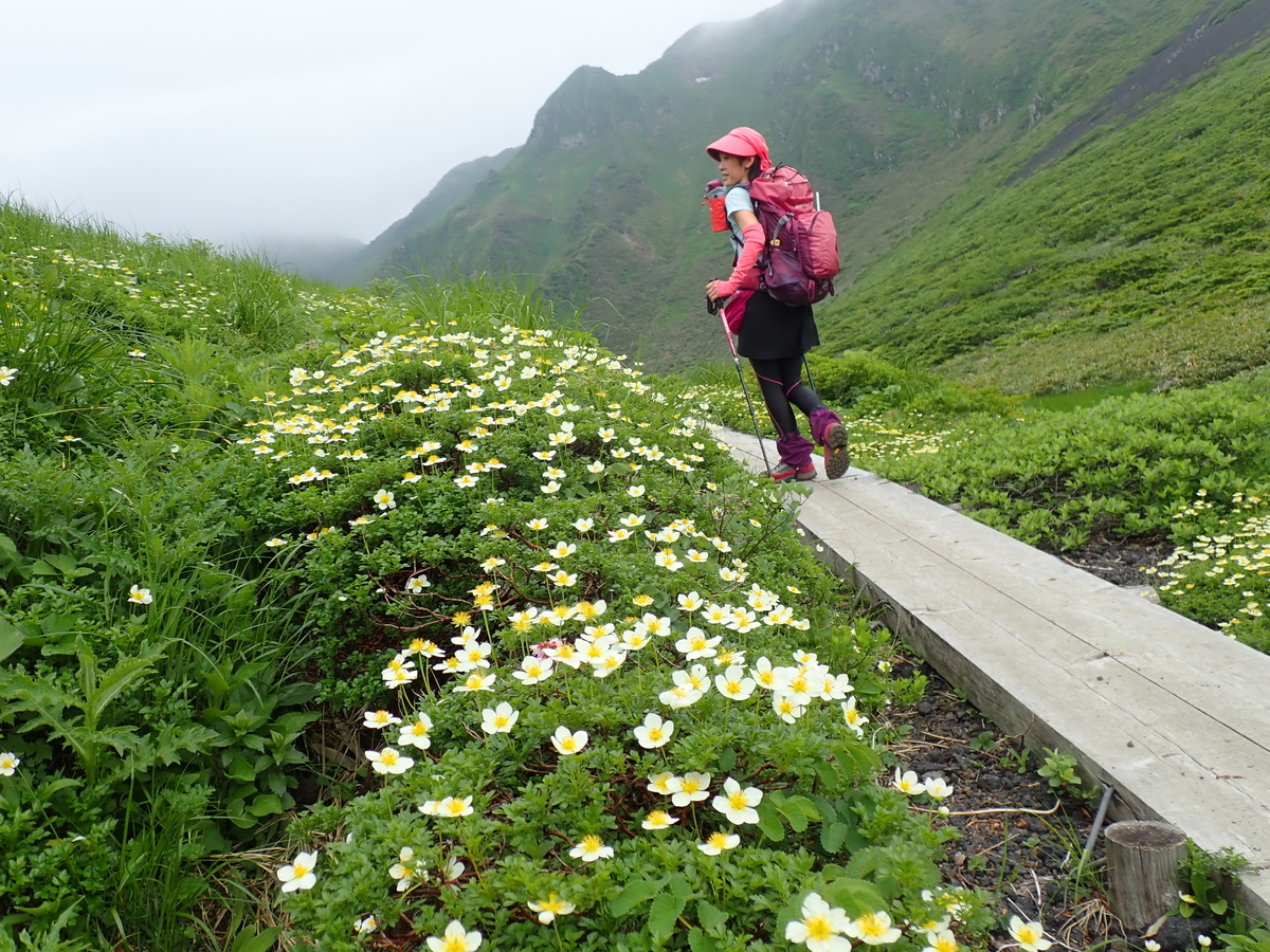 f:id:moontopaz:20210806204208j:plain