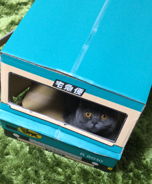 f:id:moonty:20170410012823p:plain