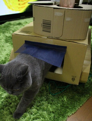 f:id:moonty:20170410020200j:plain