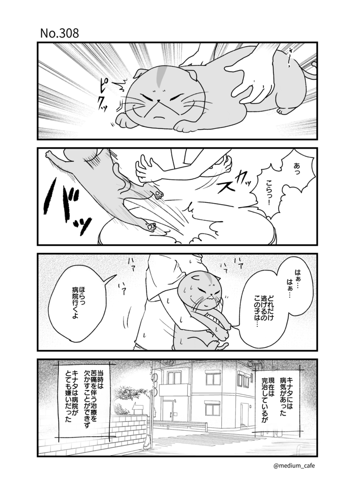 猫のWEB漫画：猫伝奇No.308