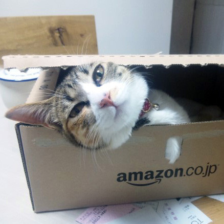 f:id:moop:20111111155954j:image f:id:moop:20111111155954j:image