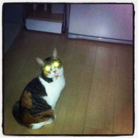 f:id:moop:20111113131904j:image