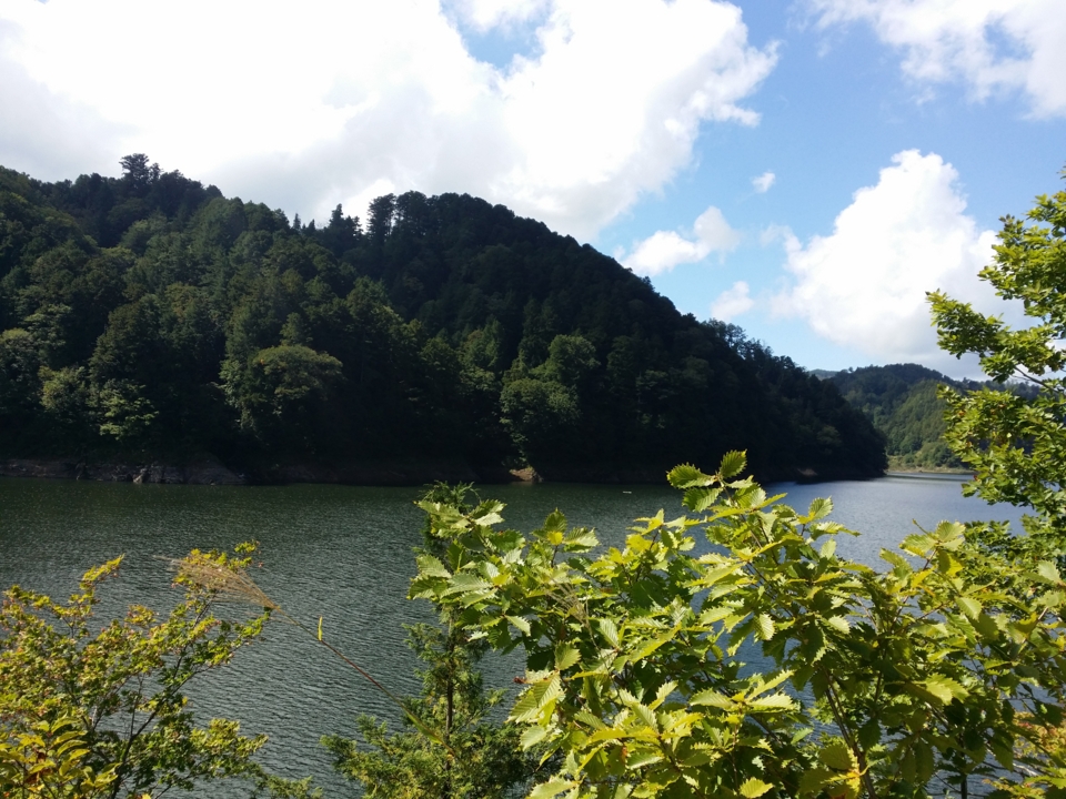 f:id:mooran:20150920103723j:plain f:id:mooran:20150920103723j:plain