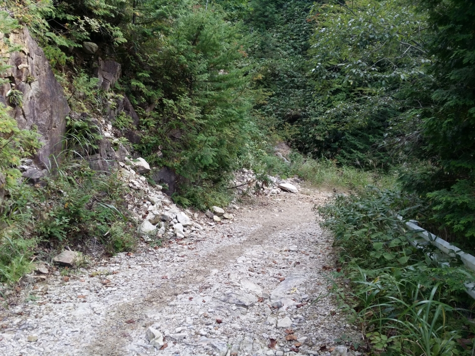 f:id:mooran:20150920144934j:plain f:id:mooran:20150920144934j:plain