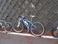 20120226080023