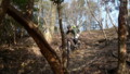20120320083614