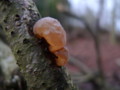 20120324074838