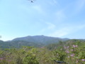 20120418132714