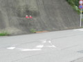 20120724075041