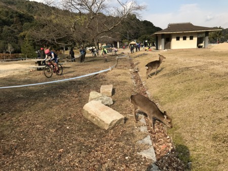 f:id:moorie:20170122102631j:image f:id:moorie:20170122102631j:image